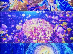 -海合安青岛极地海洋公园