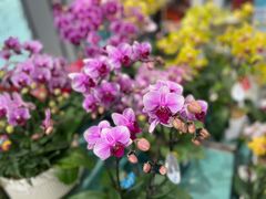 -Tims天好咖啡·贝果(东吴龙湖天街店)