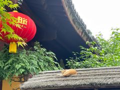 -龙华素斋(龙华路店)