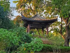 -四海公园(南山区)