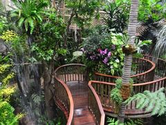 -正佳雨林生态植物园