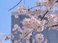 -龙美术馆(西岸馆)