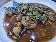 -全乐鱼馆·淳牌有机鱼直营店