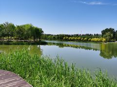 -东郊湿地公园