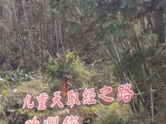 -英西峰林九重天景区