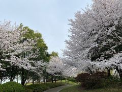 -石湖景区