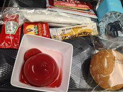 -新加坡航空公司(ION)