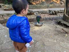 -柳州市动物园
