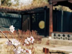-三里河公园