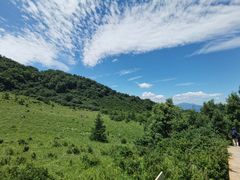 -白草畔自然风景区