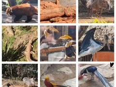 -云南野生动物园