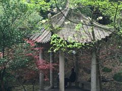 -峙山公园