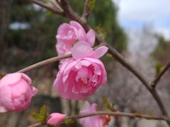 -北京鹫峰国家森林公园