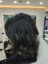 -YESIDO椰岛造型