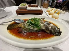 清蒸石斑鱼-金翠皇宫粤菜·点心·海鲜(科技园店)