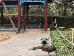 -国恩寺