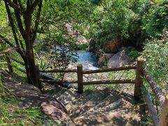 -广州白江湖森林公园