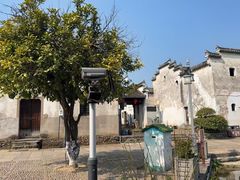 -东梓关景区村庄