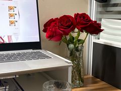 -桂林市花鸟市场