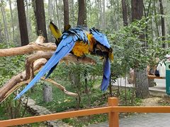 -北京野生动物园