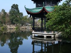 -桂湖森林公园