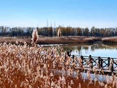 -野鸭湖国家湿地公园