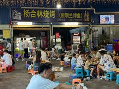 -杨合林啊兰烤鱼