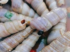 -星奇缘·海鲜餐厅(东山美食地标店)