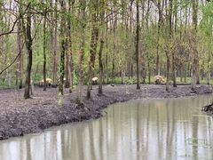 -溱湖国家湿地公园