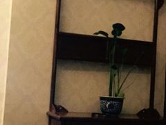 -海悦汇健康足道养生SPA