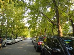 android_upload_pic-三里屯东五街银杏大道