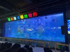 -蓬莱欧乐堡海洋极地世界