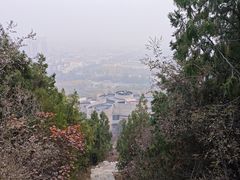 -府君山公园