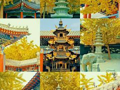 -长安寺