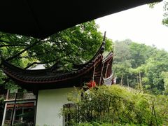 -十八棵（老龙井）御茶园(老龙井店)