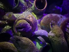 -太平洋海底世界