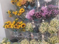 -盒马鲜生(皇庭广场店)