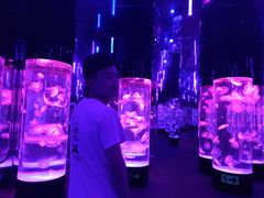 -成都浩海立方海洋公园