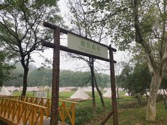 -宜兴龙背山森林公园