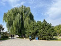 -河北省园博园
