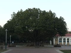 -集美鳌园景区