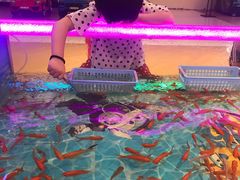 -宝大祥青少年儿童购物中心(南京东路店)