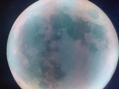 -天津梵高星空艺术馆(天河城旗舰店)