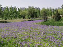 -汉长安城未央宫国家考古遗址公园