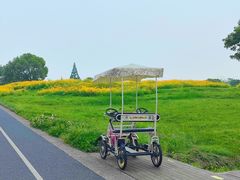 -临安城遗址(太庙遗址)