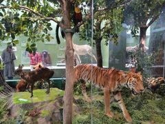 -国家自然博物馆