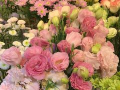 -花未央花店·WEYOUNG