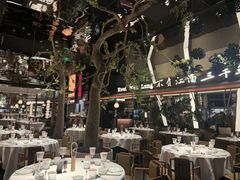 -桂满陇·海市蜃楼·黑金(国金店)