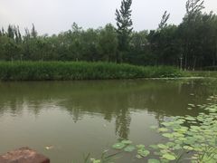 -盘锦红海温泉乐园