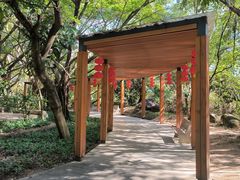 -燕晗山郊野公园